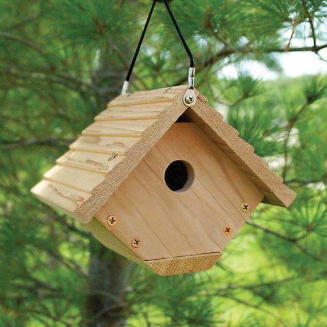 Wren House Building Kit