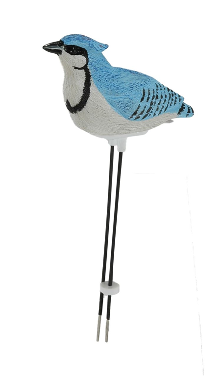 Plant Pal Blue Jay Singing Moisture Sensor