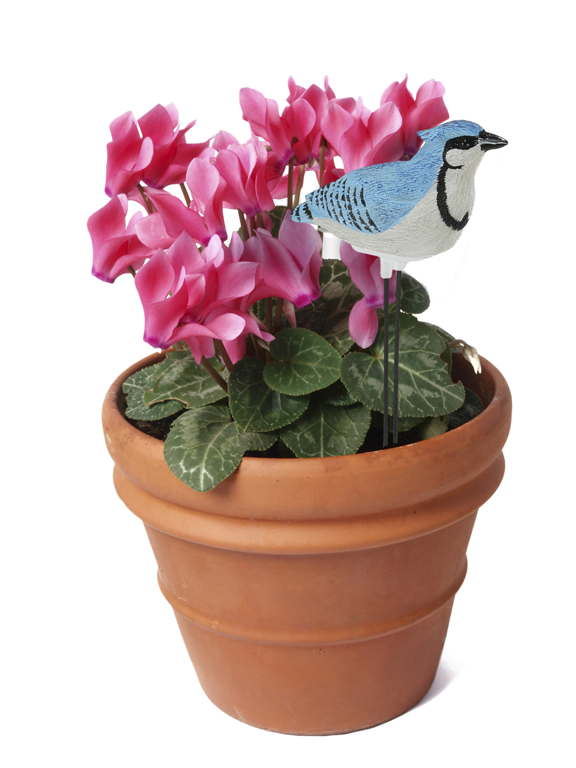 Plant Pal Blue Jay Singing Moisture Sensor