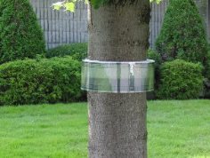 Bug barrier hotsell