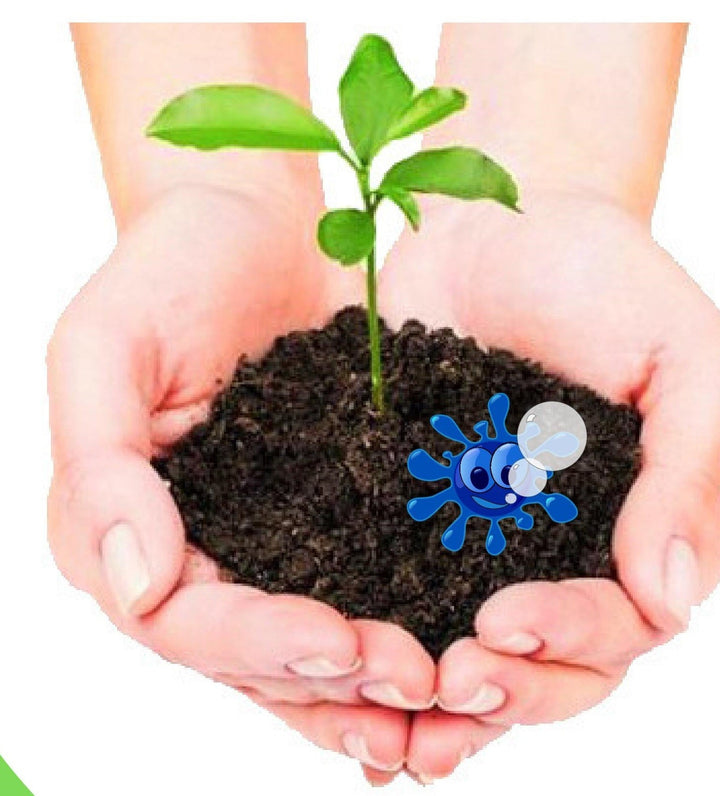 The Science of Germinating Tree Seeds: Why Trees Require a Very Different Approach than Flowers or Vegetables