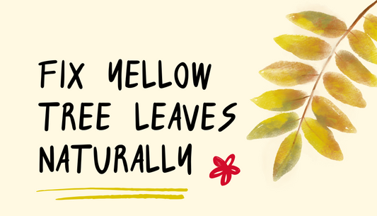 Why Are My Trees Turning Yellow? Causes, Solutions, and How to Restore Tree Health