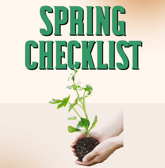 The Ultimate Spring Tree-Care Checklist