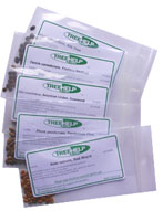 How Do You Successfully Germinate Tree Seeds?