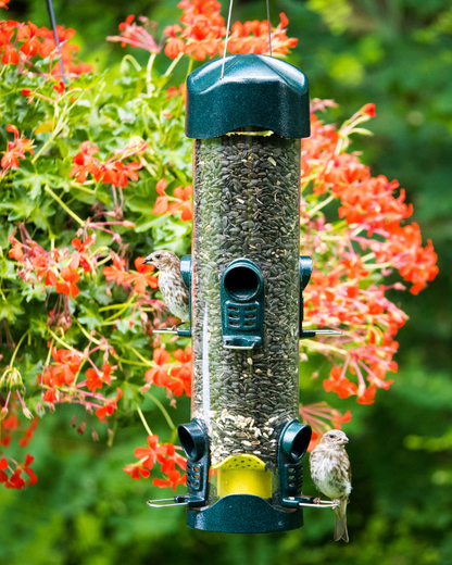 Mega 600 6-Port Tube Bird Feeder – 4 lb Capacity additional product image