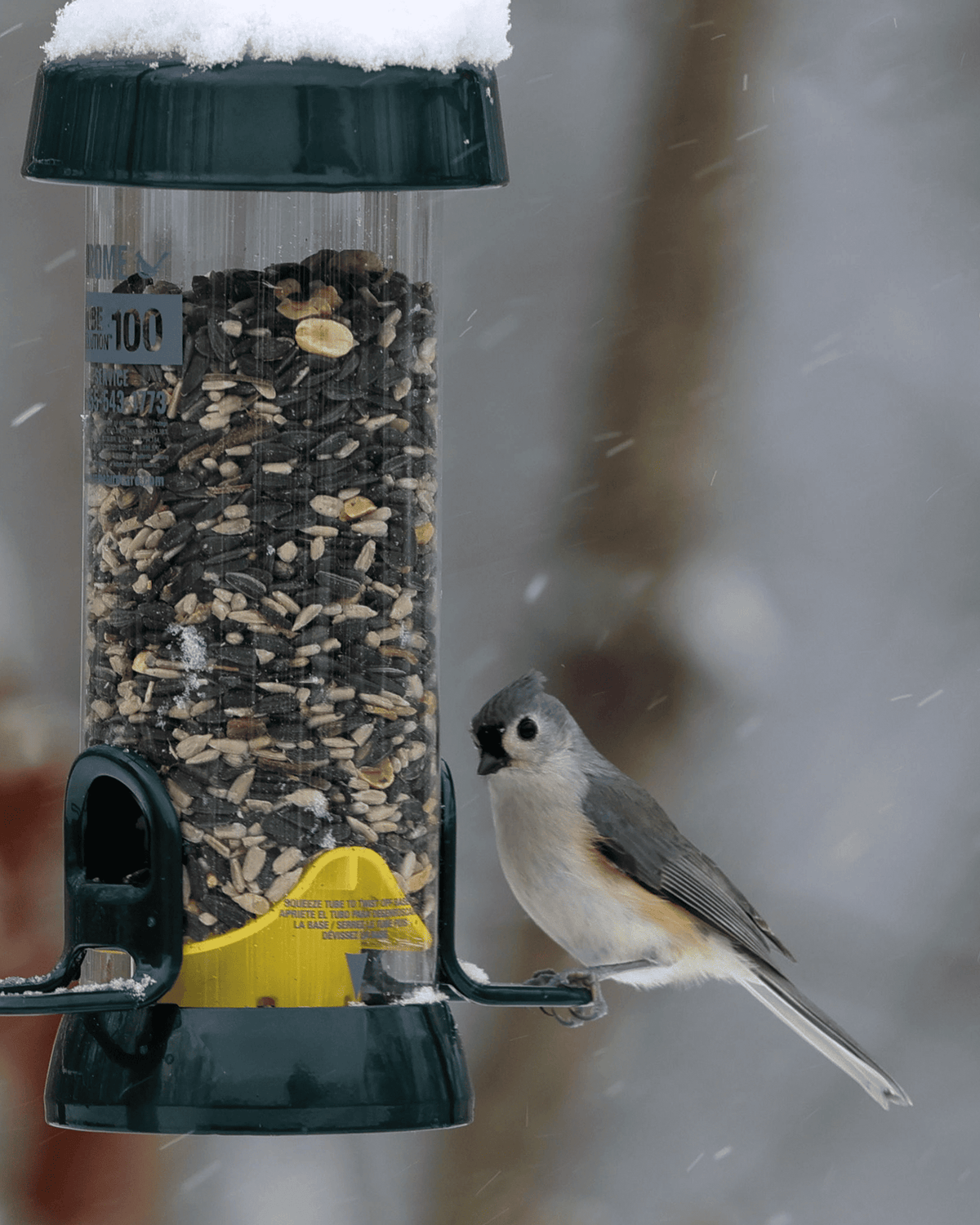 Tube 100 2-Port Bird Feeder with Swivel Hanger additional product image