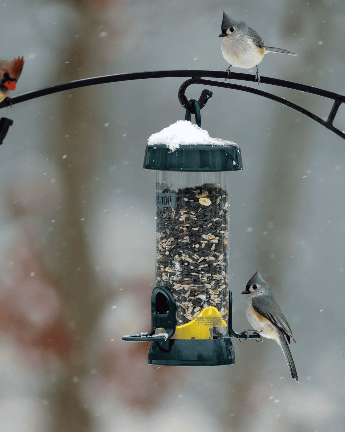 Tube 100 2-Port Bird Feeder with Swivel Hanger additional product image