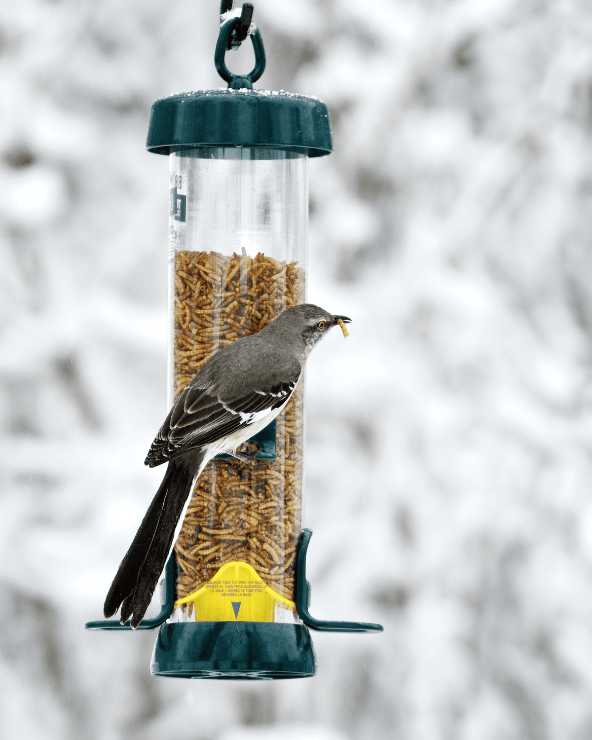 Tube 150 4-Port Bird Feeder with Swivel Hanger additional product image