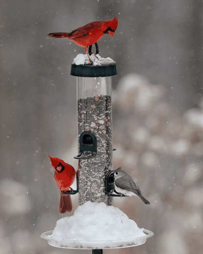 Tube 200 6-Port Bird Feeder with Swivel Hanger additional product image