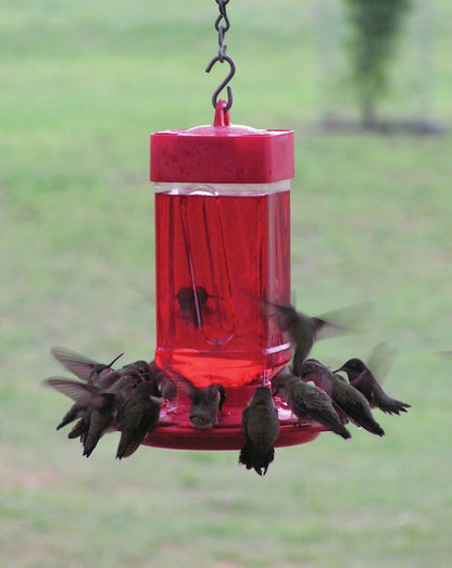First Nature 32-Ounce Hummingbird Feeder