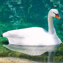 Swan Decoy
