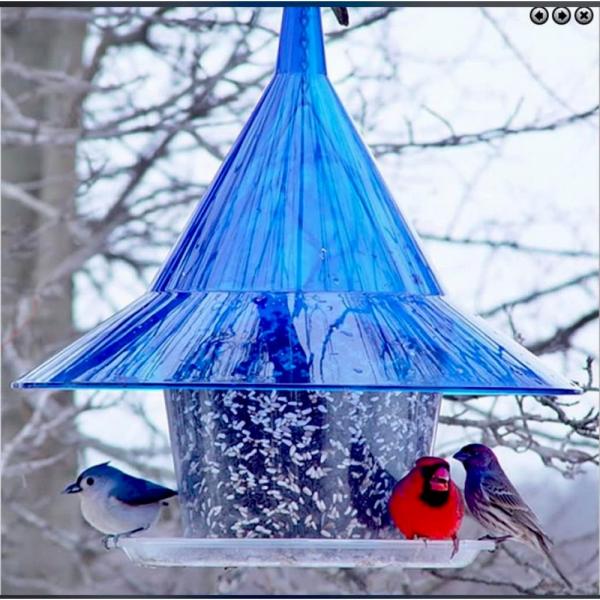 Blue Squirrel-Resistant Platform Bird Feeder