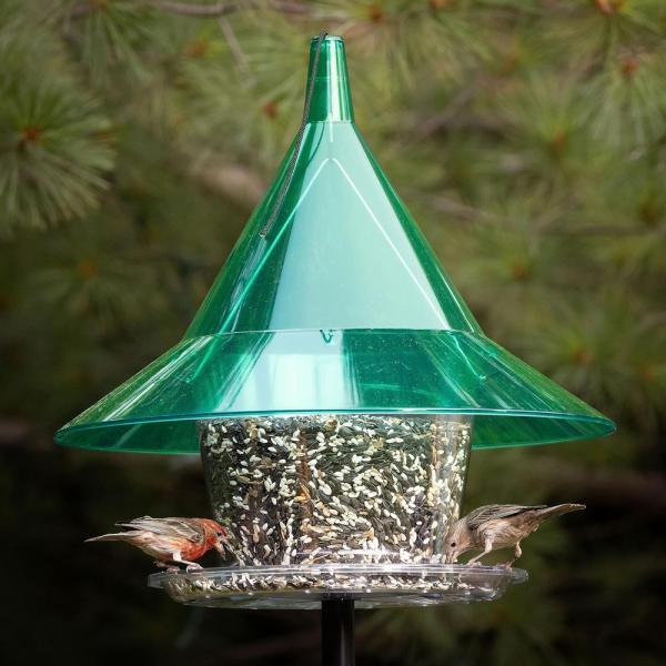 Green Squirrel-Resistant Platform Bird Feeder