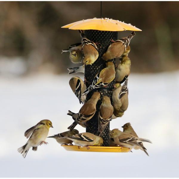 Collapsible Diamond Mesh Sunflower Kernel Feeder