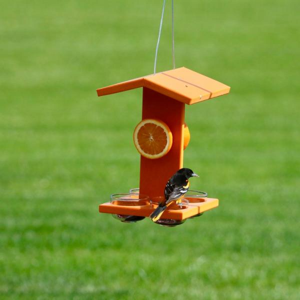 Covered Fruit & Jelly Oriole Feeder
