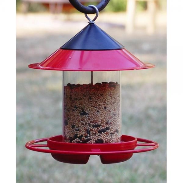 EZ Fill Sunflower & Safflower Bird Feeder