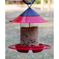 EZ Fill Sunflower & Safflower Bird Feeder