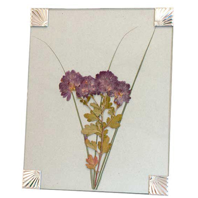 12 x 18 Inch Flower & Leaf Nature Press