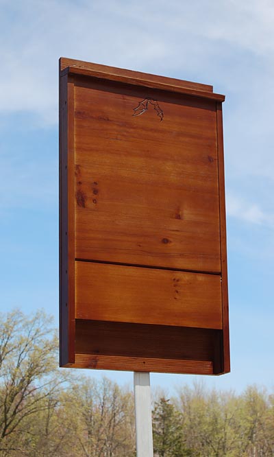 Large 100-Bat Wooden Roosting House – Dark Brown