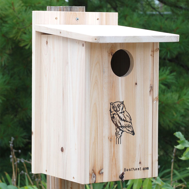Wooden Screech Owl & Kestrel Nesting House