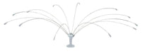 Bird Spider 8' Diameter
