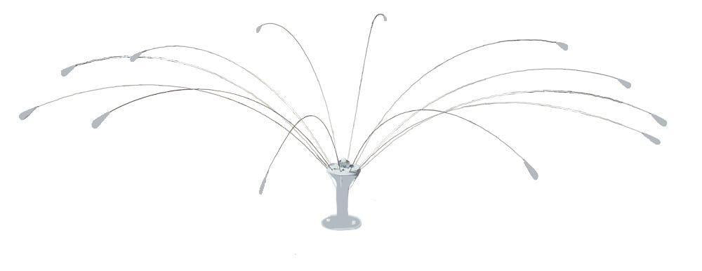Bird Spider 6' Diameter