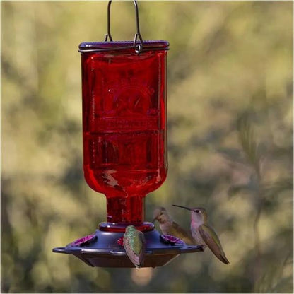 Vintage Apothecary Glass Hummingbird Feeder with Perches – 13 oz