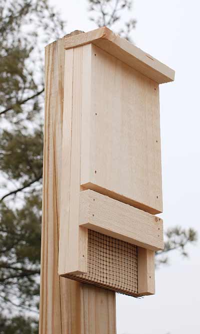 Compact 12-Bat Pine Roosting House