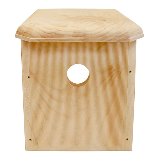Window-Mount Pine Bird Nest Box with Clear Viewing Panel