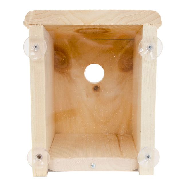 Window-Mount Pine Bird Nest Box with Clear Viewing Panel