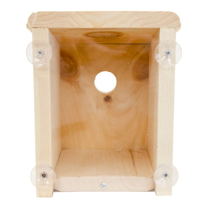 Window-Mount Pine Bird Nest Box with Clear Viewing Panel
