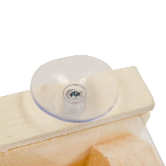 Window-Mount Pine Bird Nest Box with Clear Viewing Panel