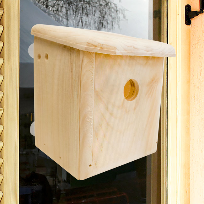 Window-Mount Pine Bird Nest Box with Clear Viewing Panel