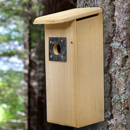 Downy Woodpecker Pine Nest Box with Slate Predator Guard