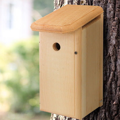 Pine House Wren Nest Box with 1-Inch Entrance