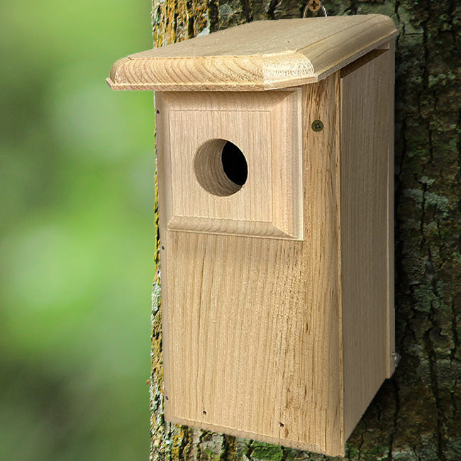 Classic Eastern Bluebird Pine House with Predator Guard