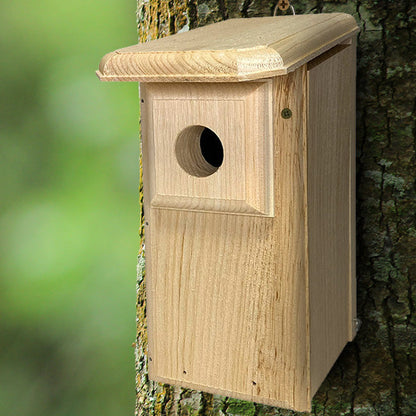 Classic Eastern Bluebird Pine House with Predator Guard