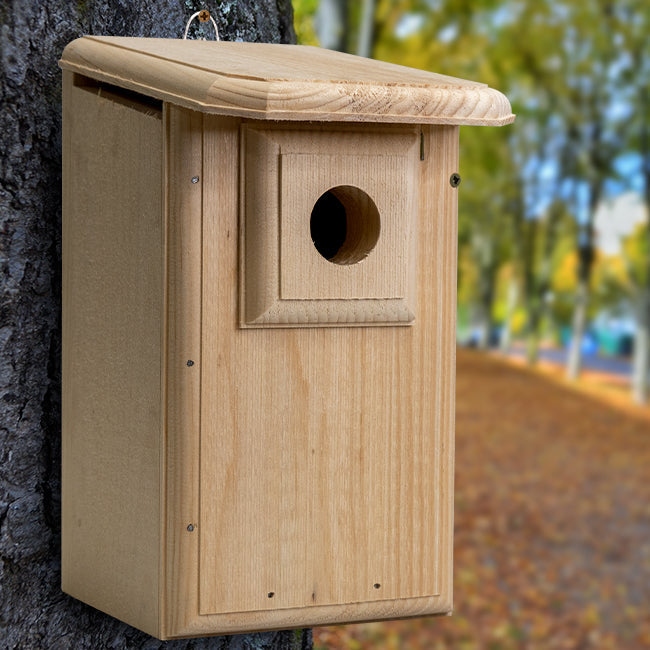 Western Bluebird Pine Nest Box with Predator Guard
