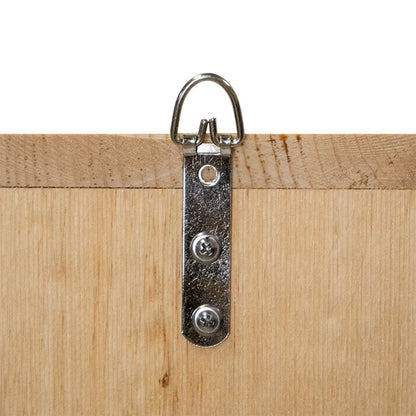 Western Bluebird Observation Nest Box with Clear Viewing Panel