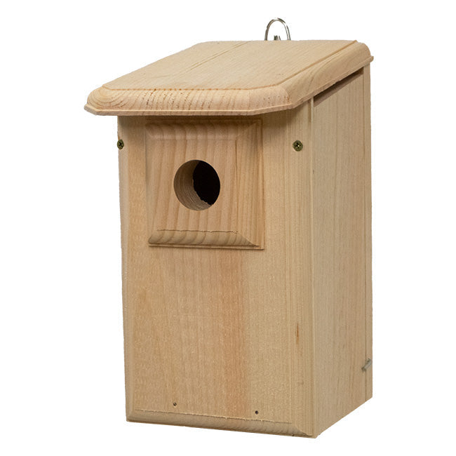 Western Bluebird Observation Nest Box with Clear Viewing Panel