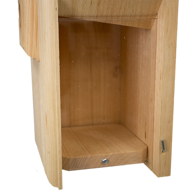 Western Bluebird Observation Nest Box with Clear Viewing Panel