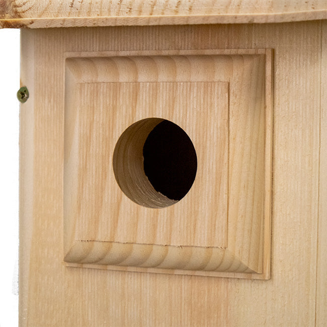 Western Bluebird Observation Nest Box with Clear Viewing Panel