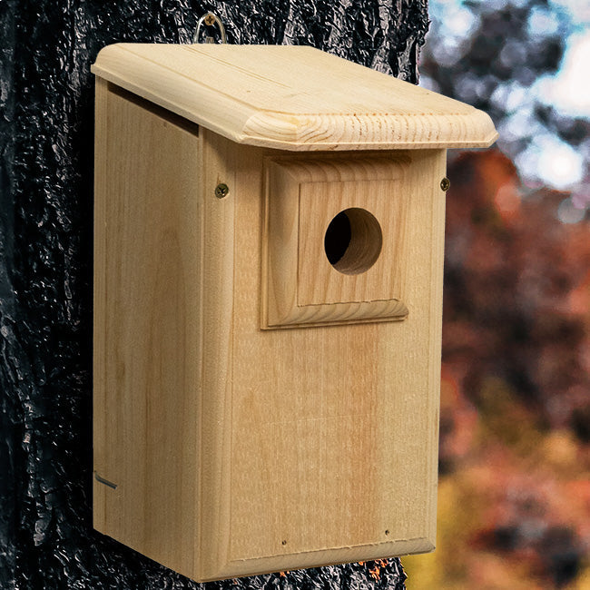 Western Bluebird Observation Nest Box with Clear Viewing Panel