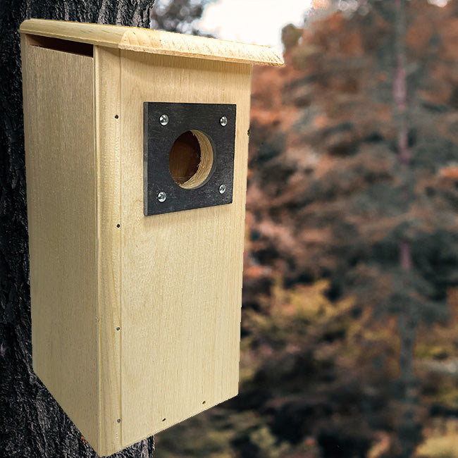 Multi-Species Woodpecker Pine Nest Box with Slate Guard