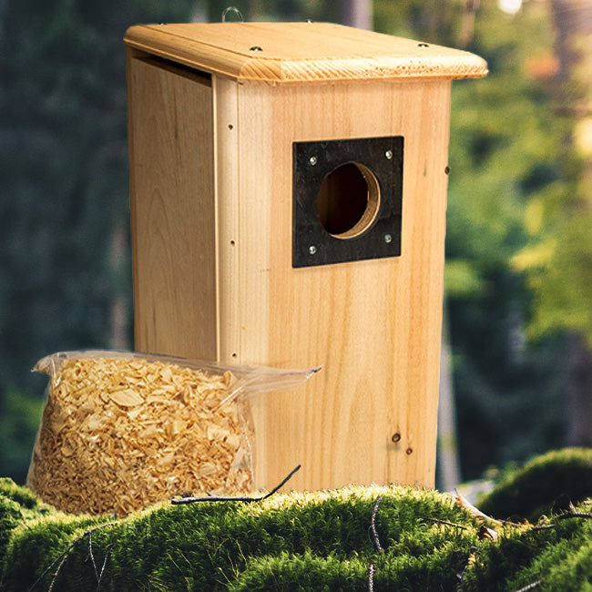 Northern Flicker Pine Nest Box with Slate Entrance Guard