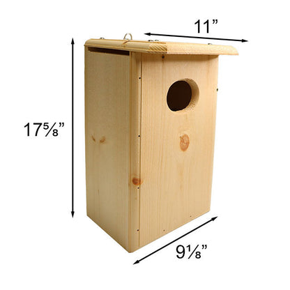 Pine Bufflehead Duck Nesting House with Interior Ladder
