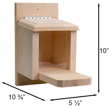 Pine Peanut Box Squirrel Feeder with Lift-Up Lid