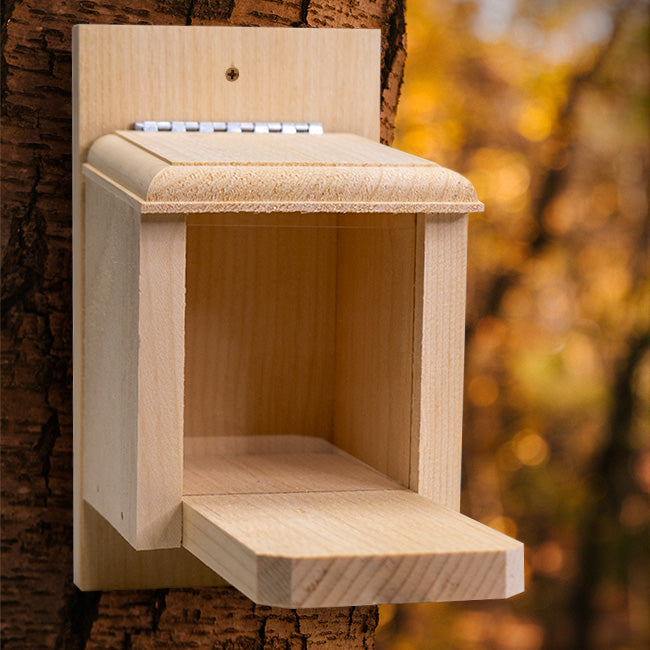 Pine Peanut Box Squirrel Feeder with Lift-Up Lid