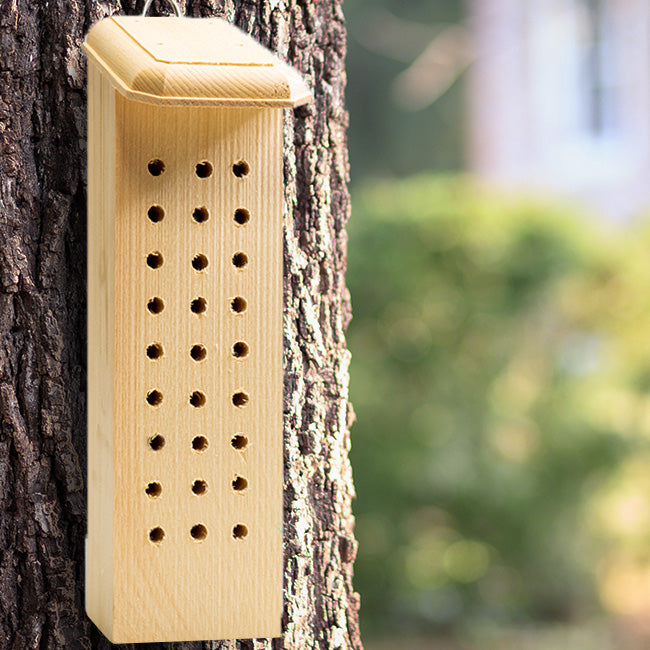 Pine Solitary Bee House for Garden Pollinators