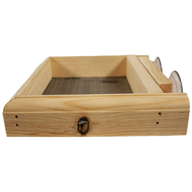 Pine Window Bird Feeder with Suction Cups